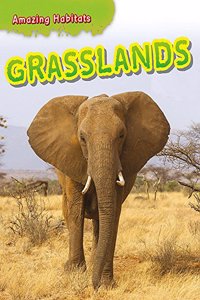 Amazing Habitats: Grasslands