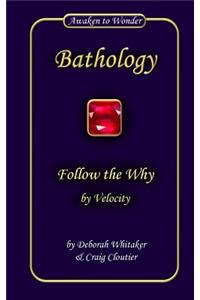 Follow the Why