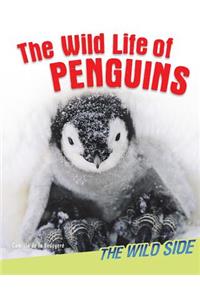 The Wild Life of Penguins