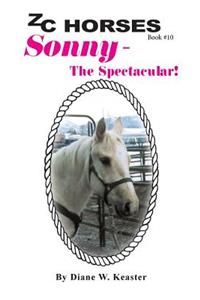Sonny-The Spectacular