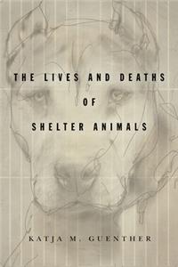 Lives and Deaths of Shelter Animals