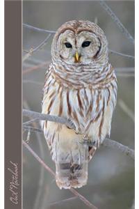 Owl Notebook: Gifts / Presents / Ruled Notebook for Owl & Baby Owl Lovers