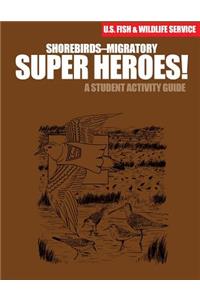 Shorebirds- Migratory Super Heroes!
