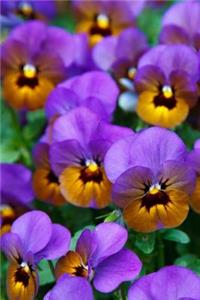 Mind Blowing Purple Pansies Journal