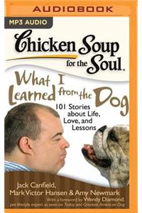 Chicken Soup for the Soul: What I Learned from the Dog