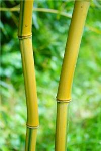 Bamboo Stalks Journal