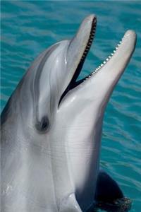 Smiling Dolphin Portrait Journal