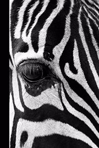 Wild Zebra Dot Grid Notebook 200 Journal Pages 8 1/2 x 11 Inches