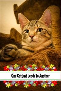 One Cat Just Leads To Another