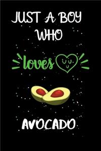 Just A Boy Who Loves Avocado