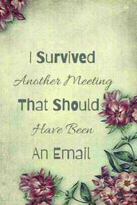 I Survived Another Meeting That Should Have Been An Email.