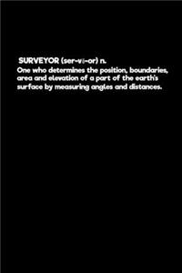 Surveyor Definition