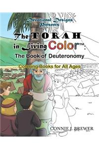 The Torah in Living Color: The Book of Deuteronomy