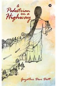 Pedestrian on a Highway