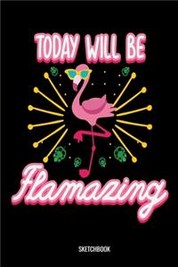 Today Will Be Flamazing Sketchbook