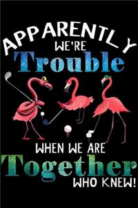 Apparently We're Trouble When We Are Together who knew!