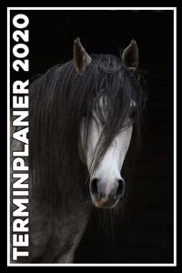 Terminplaner 2020