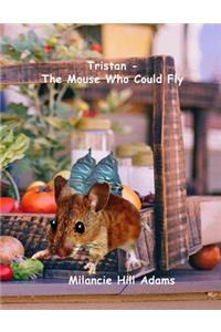 Tristan - The Mouse Who Could Fly