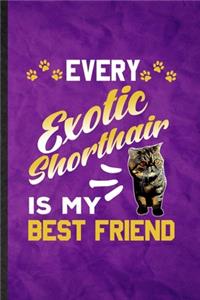 Every Exotic Shorthair Is My Best Friend