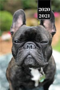 French Bulldog Dog Calendar Week Planner 2020 / 2021 - Little Eyes