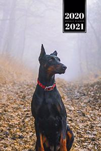 Doberman Dog Calendar Week Planner 2020 / 2021 - Misty Forest