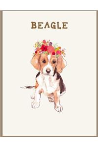 Beagle