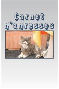 Carnet d'Adresses
