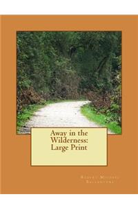 Away in the Wilderness