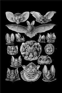 Bats Illustration Notebook