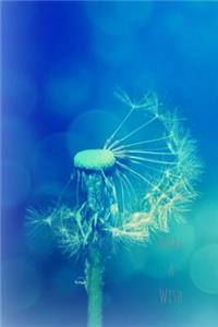 Make a Wish