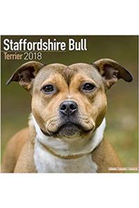 Staffordshire Bull Terrier Calendar