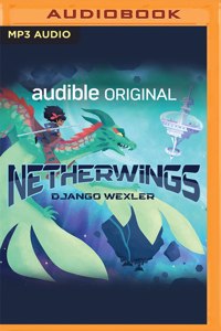 Netherwings