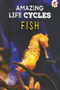 Fish - Amazing Life Cycles