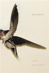 Swallows