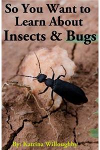 So You Want to Learn About Insects & Bugs