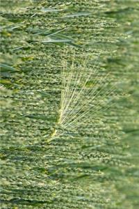 A Beautiful Wheat Field Journal