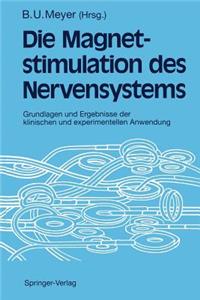 Magnetstimulation Des Nervensystems