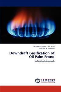Downdraft Gasification of Oil Palm Frond