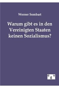 Warum gibt es in den Vereinigten Staaten keinen Sozialismus?
