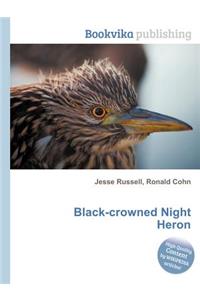 Black-Crowned Night Heron