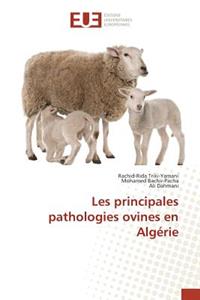 Les Principales Pathologies Ovines En Algérie