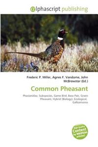 Common Pheasant