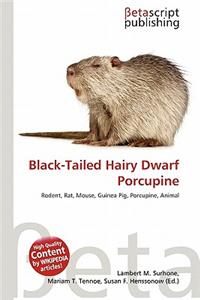 Black-Tailed Hairy Dwarf Porcupine