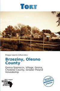 Brzeziny, Olesno County