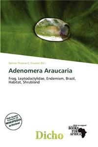 Adenomera Araucaria