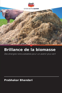 Brillance de la biomasse
