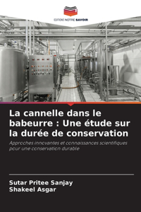 cannelle dans le babeurre