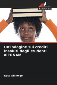 Un'indagine sui crediti insoluti degli studenti all'UNAM