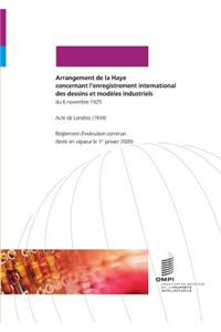 Arrangement de La Haye concernant l'enregistrement international des dessins et modèles industriels