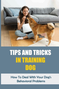 Tips And Tricks In Training Dog